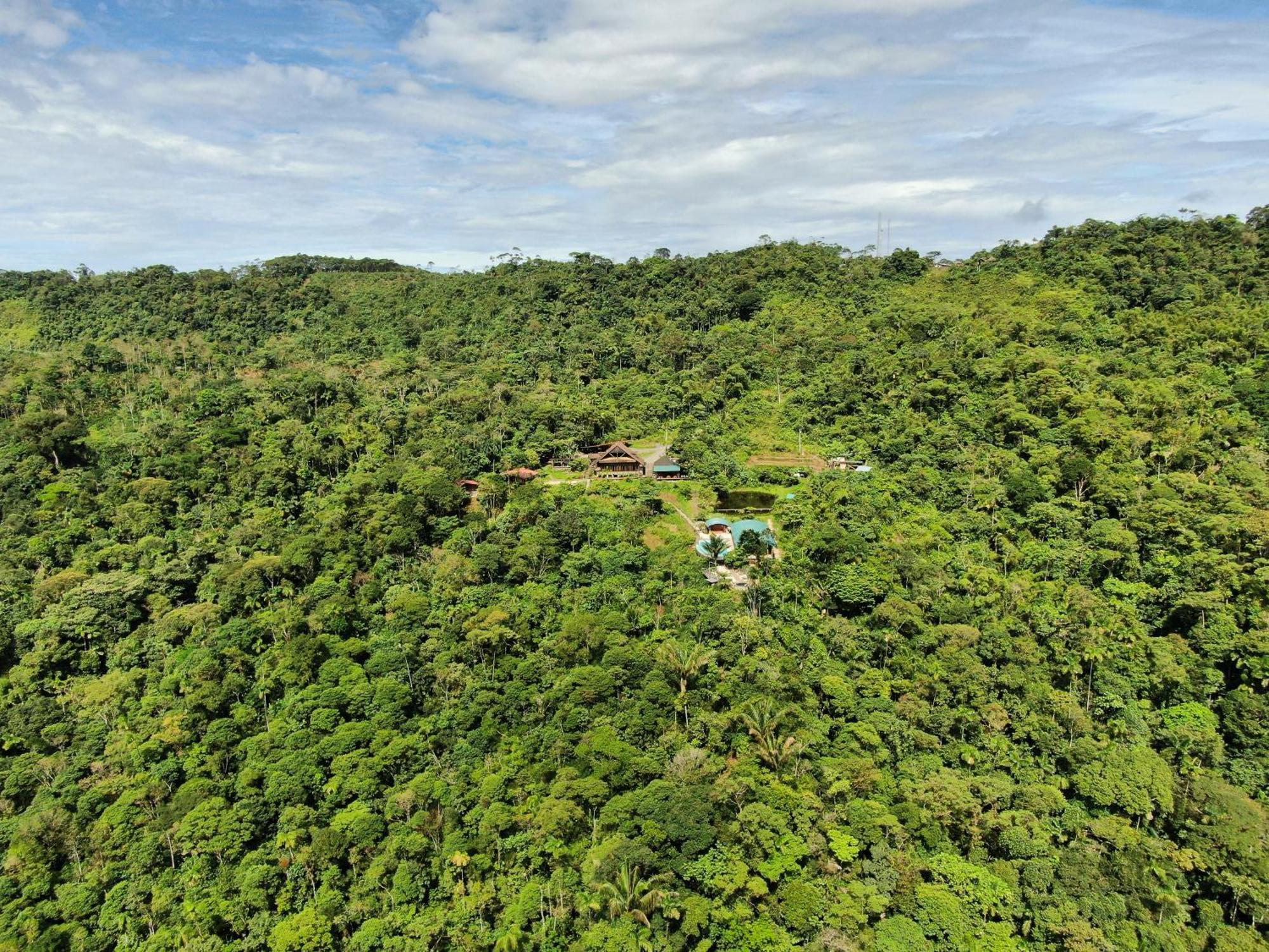 Heimatlos Amazon Lodge Puyo Exterior foto